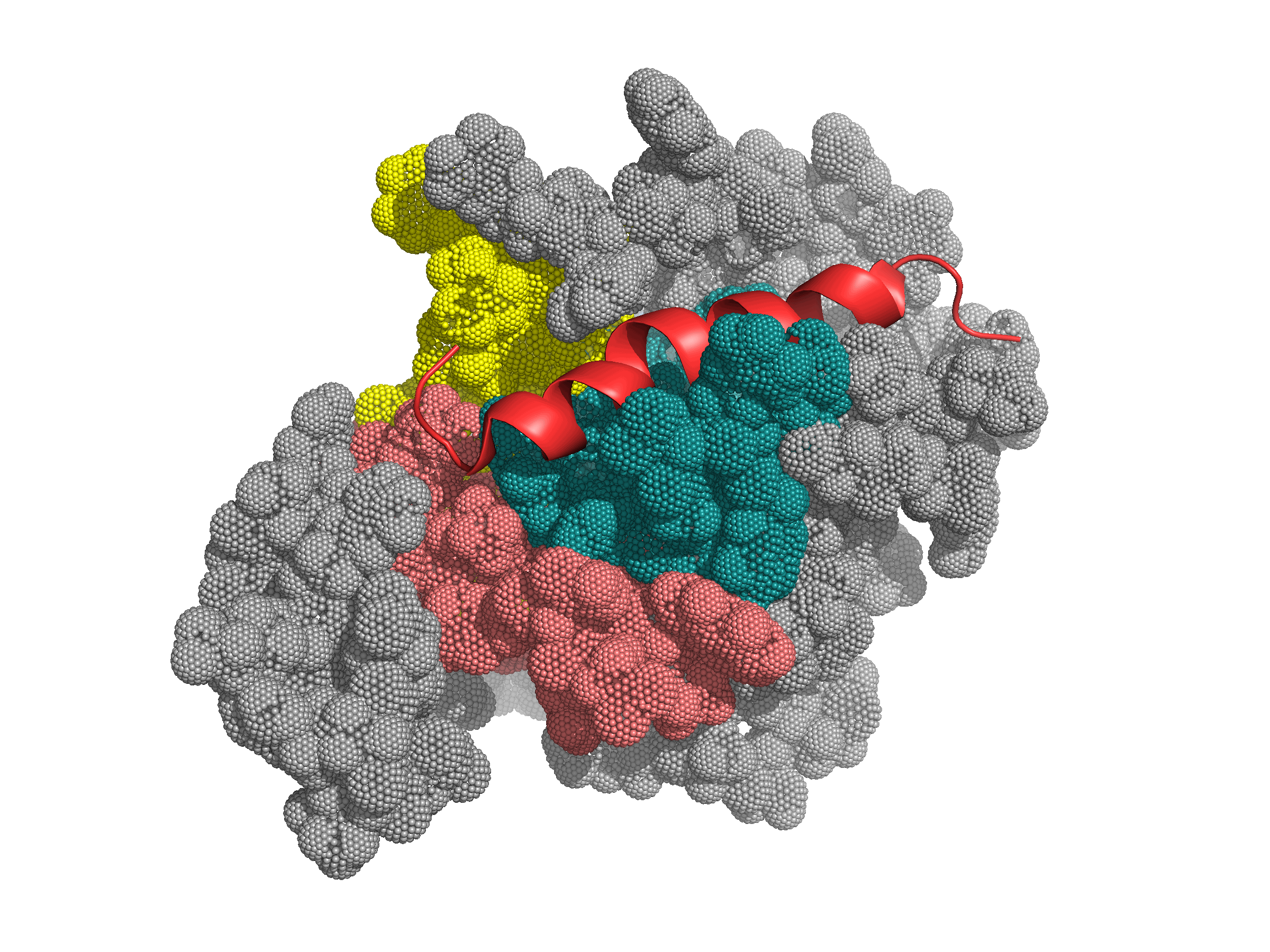 Семья белков Bcl 2